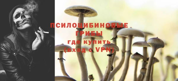 PSILOCYBIN Белоозёрский