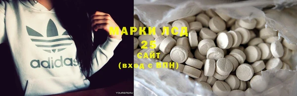 ПСИЛОЦИБИНОВЫЕ ГРИБЫ Сосновка