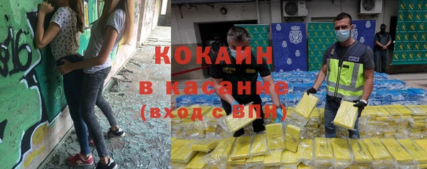 ПСИЛОЦИБИНОВЫЕ ГРИБЫ Сосновка