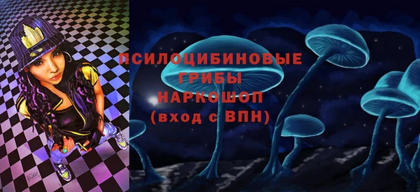 mix Снежинск