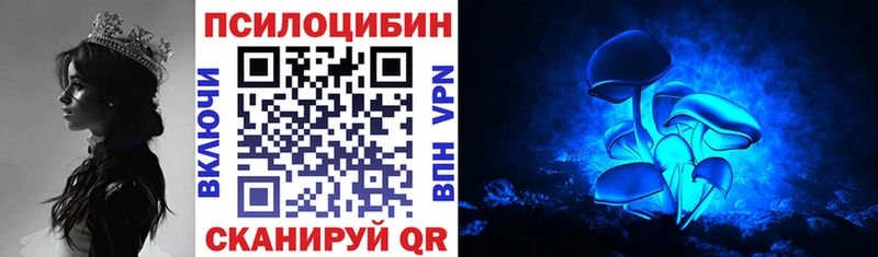 хочу наркоту  Курлово  Галлюциногенные грибы ЛСД 
